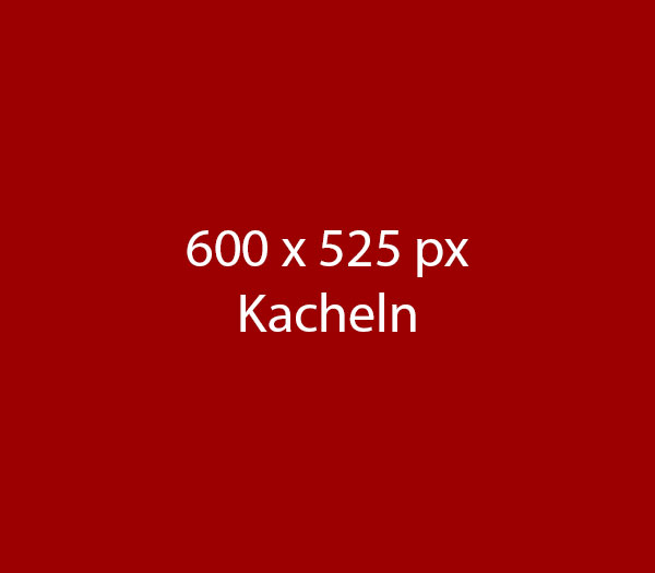 Mehr Informationen zum Thema: Pension für Beamte / Öffentlicher Dienst